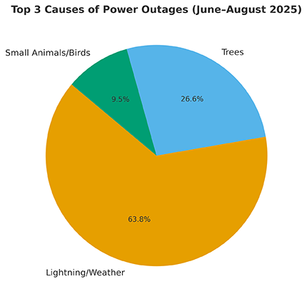 photo for Why Outages Happen & What We Do to Keep the Lights On